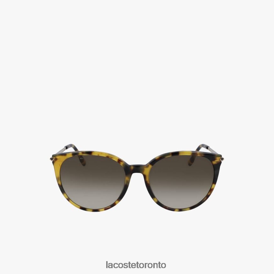 Accessories Lacoste Oval Acetate La Piquee Sunglasses Havana Brn Men Z60BPR2201