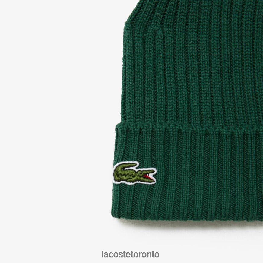 Accessories Lacoste Ribbed Wool Beanie Green Unisex Z60BPR2229