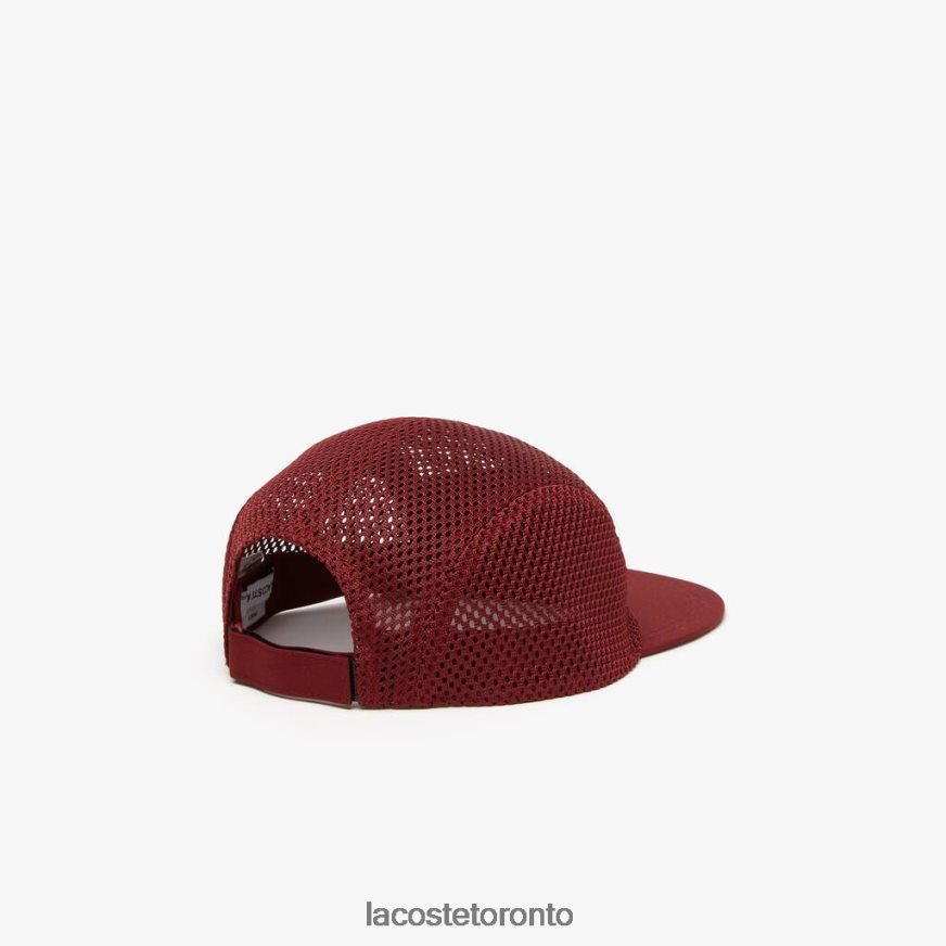 Accessories Lacoste Silicone Crocodile Cap Bordeaux Unisex Z60BPR1921