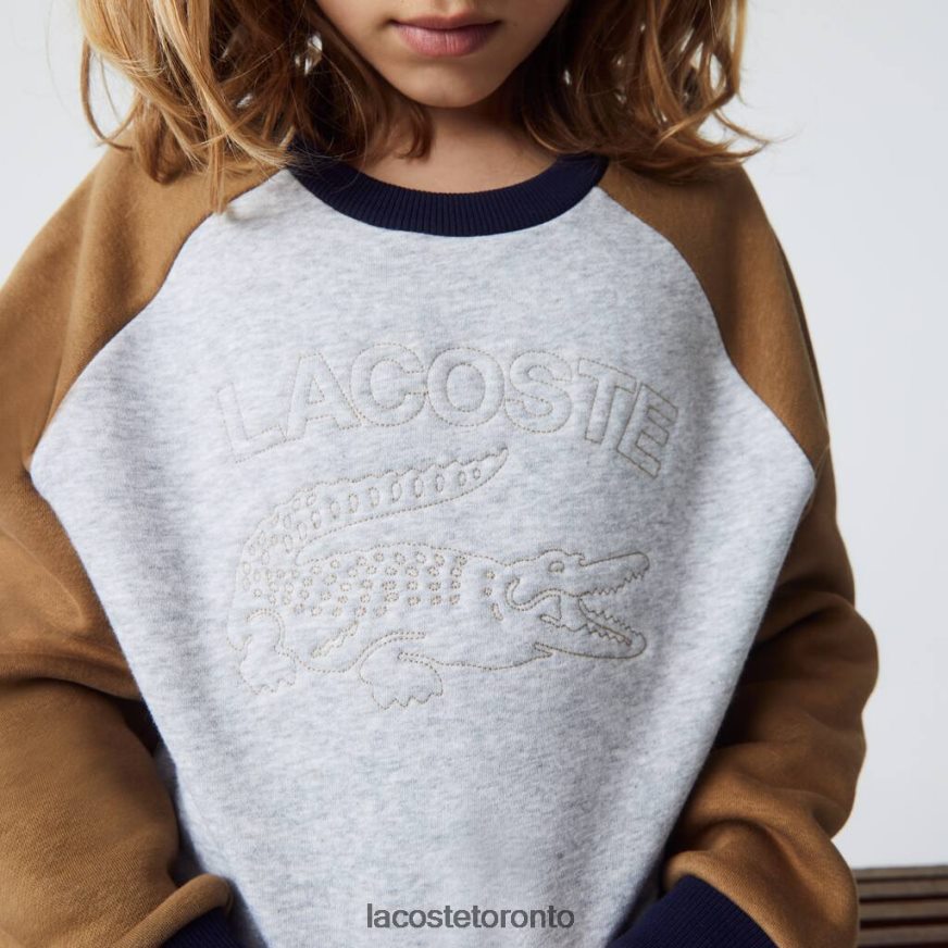 Clothing Lacoste Branded Color-Block Sweatshirt Grey Chine/Brown/Navy Blue Kids Z60BPR3195