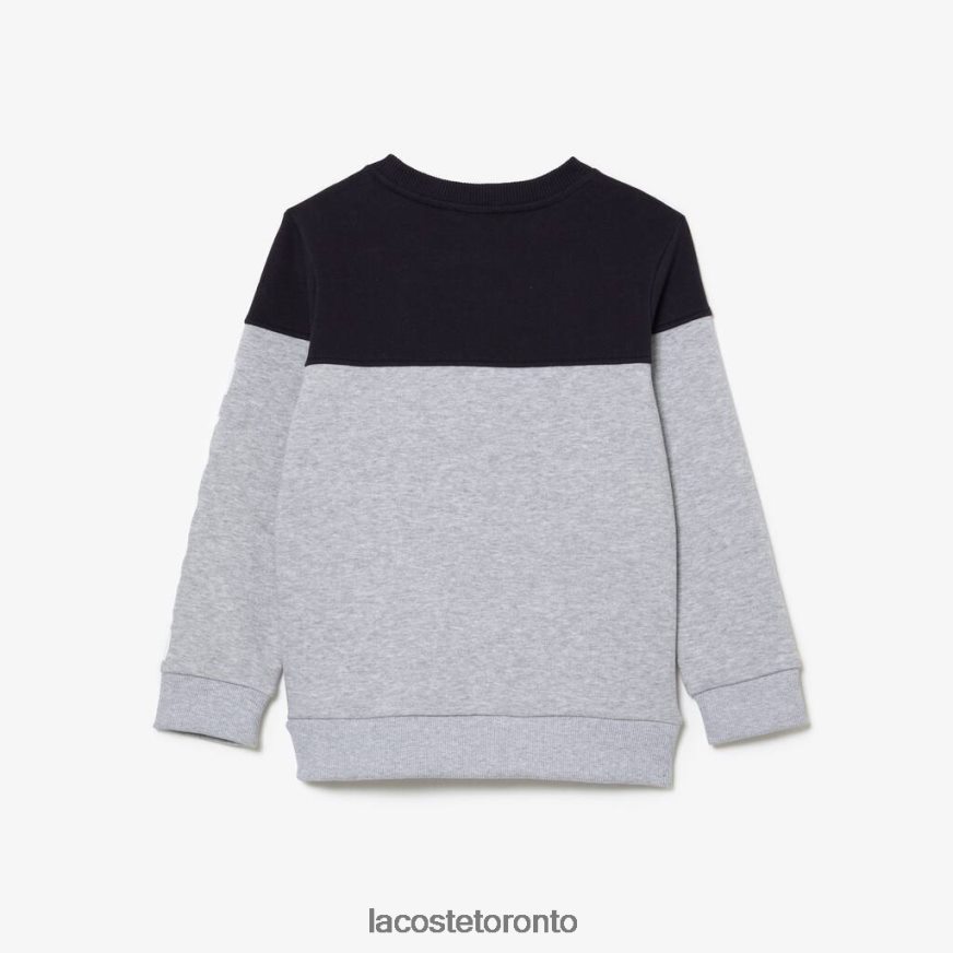 Clothing Lacoste Colorblock Sweatshirt in Organic Cotton Flannel Navy Blue/Grey Chine Kids Z60BPR3064