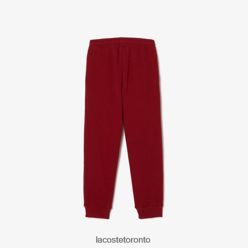 Clothing Lacoste Colorblock Trackpants Bordeaux Kids Z60BPR3199