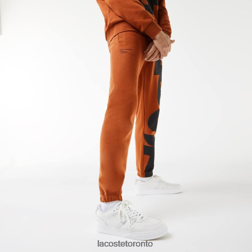 Clothing Lacoste Contrast Lettering Cotton Trackpants Brown Men Z60BPR1037