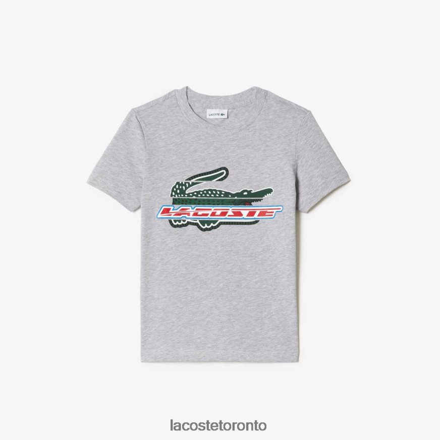 Clothing Lacoste Contrast Print Cotton Jersey T-Shirt Grey Chine Kids Z60BPR3041