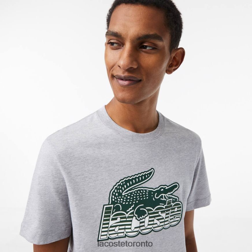 Clothing Lacoste Cotton Jersey Print T-Shirt Grey Chine Men Z60BPR66