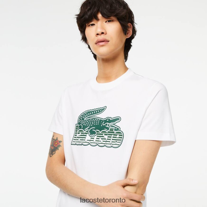 Clothing Lacoste Cotton Jersey Print T-Shirt White Men Z60BPR63