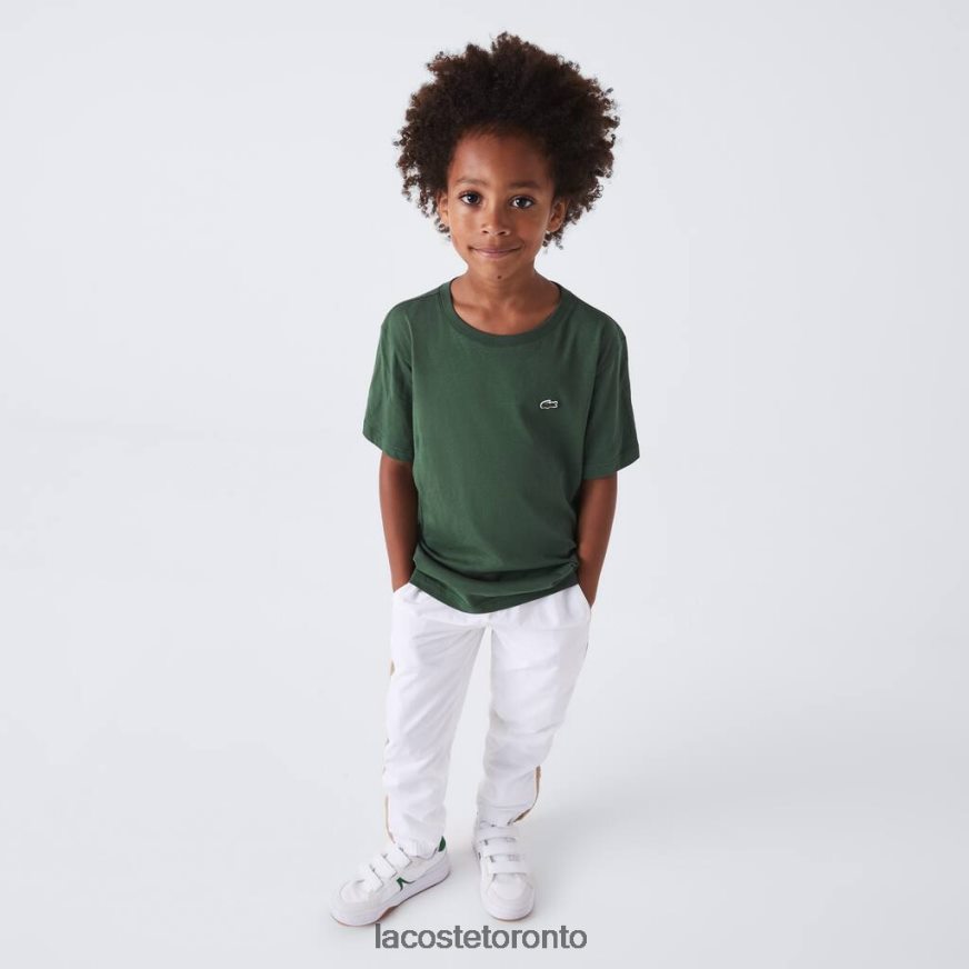 Clothing Lacoste Crew Neck Cotton Jersey T-Shirt Green Kids Z60BPR3149