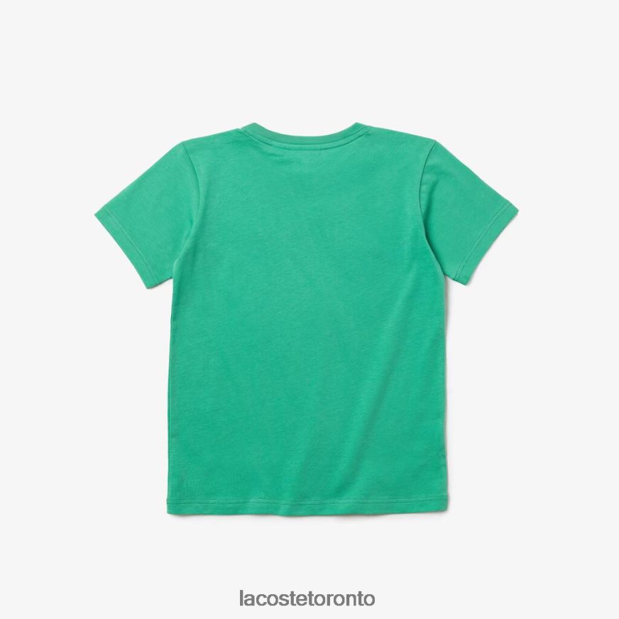 Clothing Lacoste Crew Neck Cotton Jersey T-Shirt Green Kids Z60BPR3167