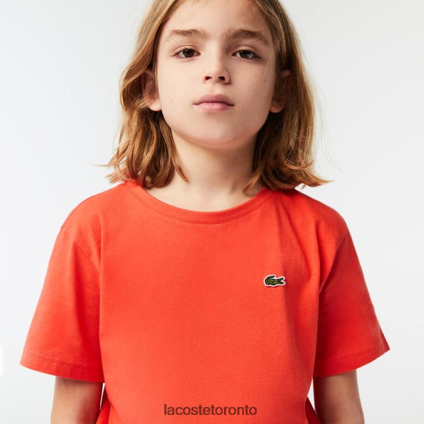 Clothing Lacoste Crew Neck Cotton Jersey T-Shirt Orange Kids Z60BPR3022