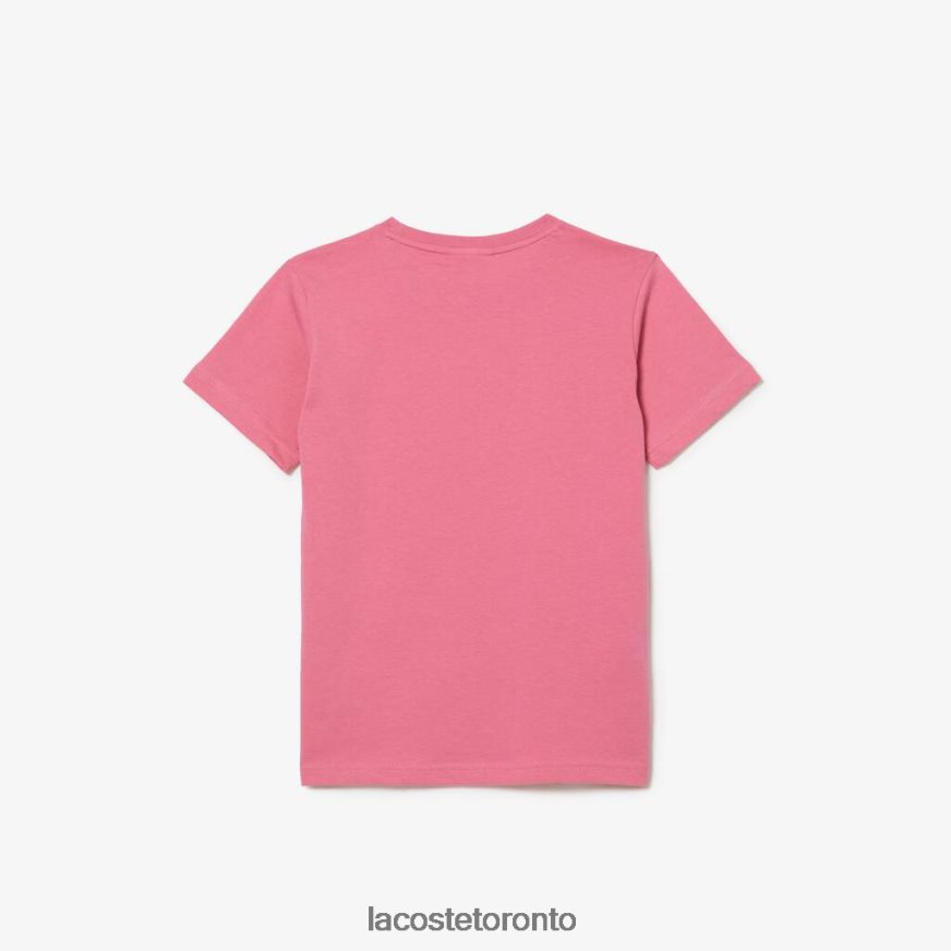 Clothing Lacoste Crew Neck Cotton Jersey T-Shirt Pink Kids Z60BPR3011