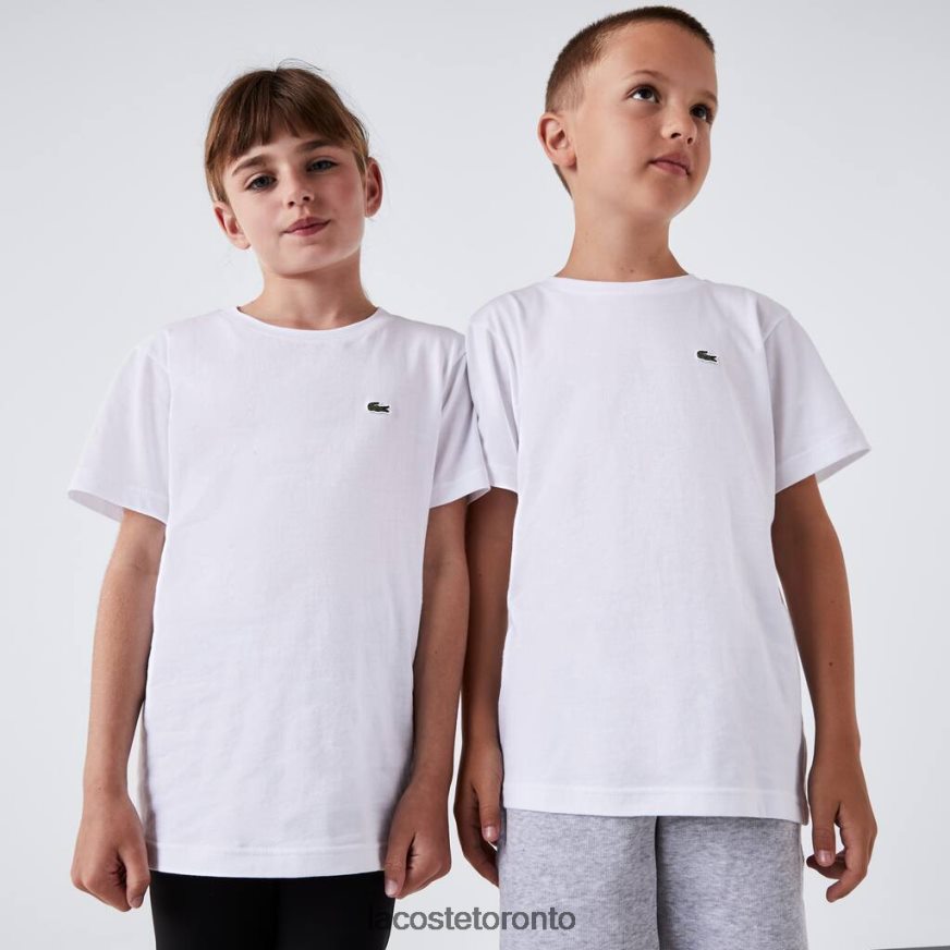 Clothing Lacoste Crew Neck Cotton Jersey T-Shirt White Kids Z60BPR2996