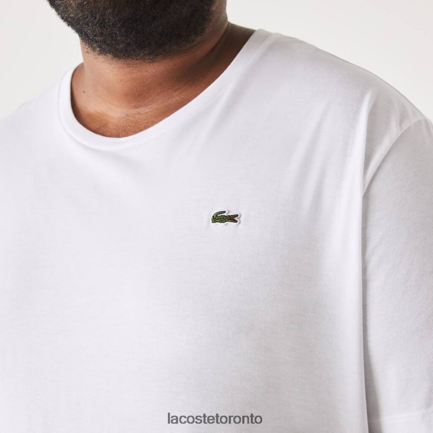 Clothing Lacoste Crew Neck XL Cotton Jersey T-Shirt White Men Z60BPR758