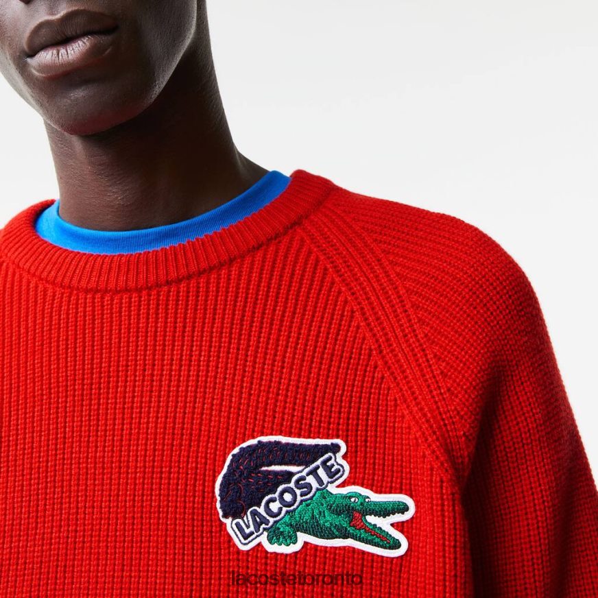 Clothing Lacoste Crocodile Sweater Red Men Z60BPR1382