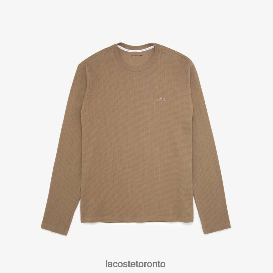 Clothing Lacoste Long Sleeve Lounge T-Shirt Light Brown Men Z60BPR263