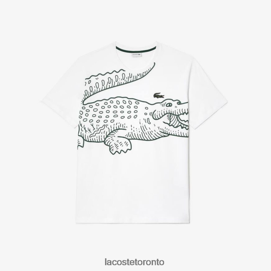 Clothing Lacoste Loose Fit Jersey T-shirt - Plus Size - Big White Men Z60BPR227