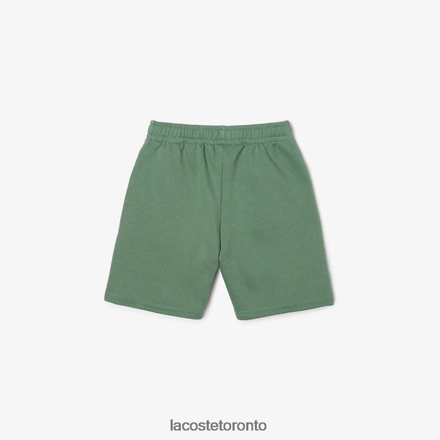 Clothing Lacoste Organic Brushed Cotton Fleece Shorts Khaki Green Kids Z60BPR3098