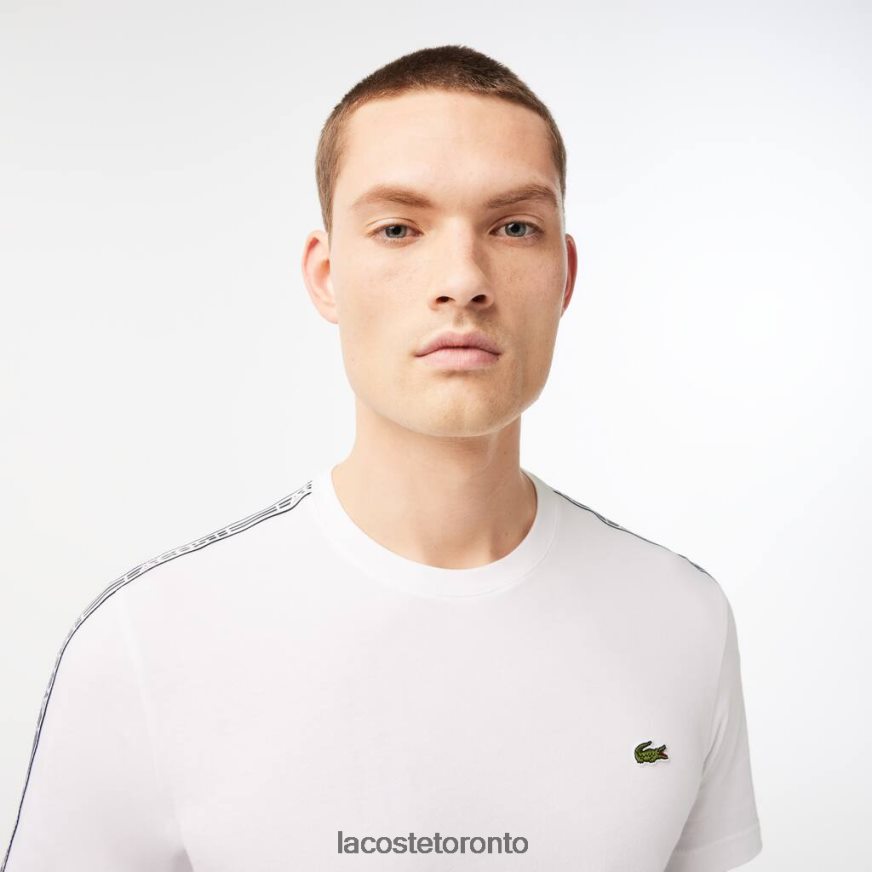 Clothing Lacoste Regular Fit Logo Stripe T-Shirt White Men Z60BPR46