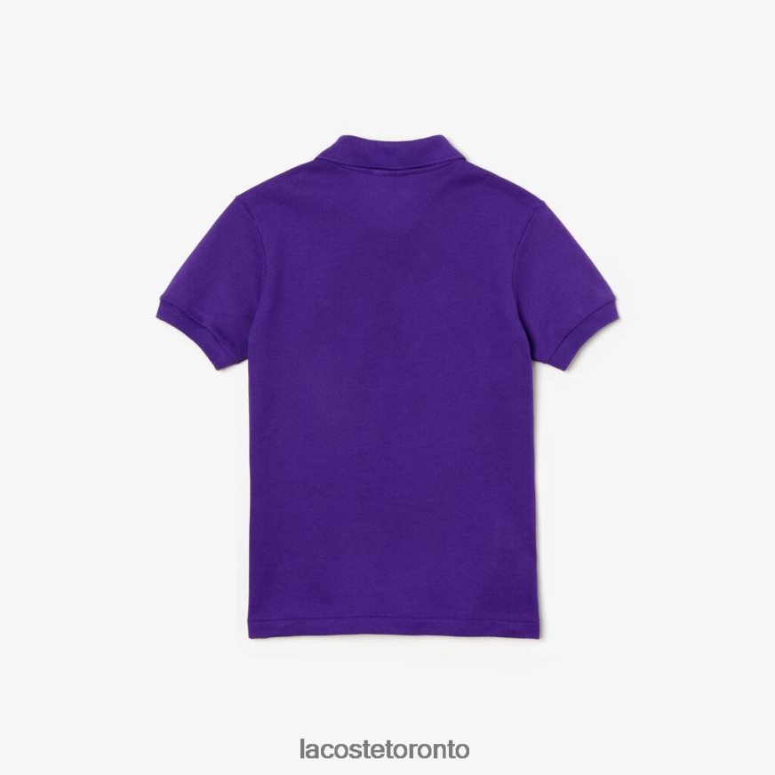 Clothing Lacoste Regular Fit Petit Pique Polo Purple Kids Z60BPR3173