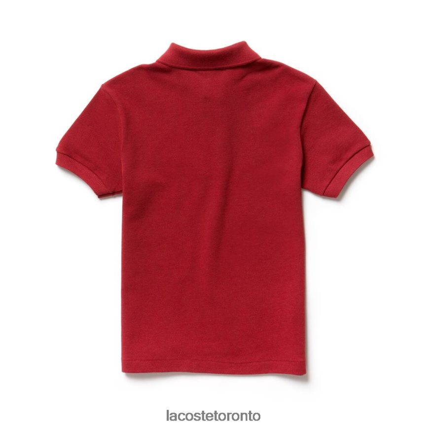 Clothing Lacoste Regular Fit Petit Pique Polo Red Kids Z60BPR3172