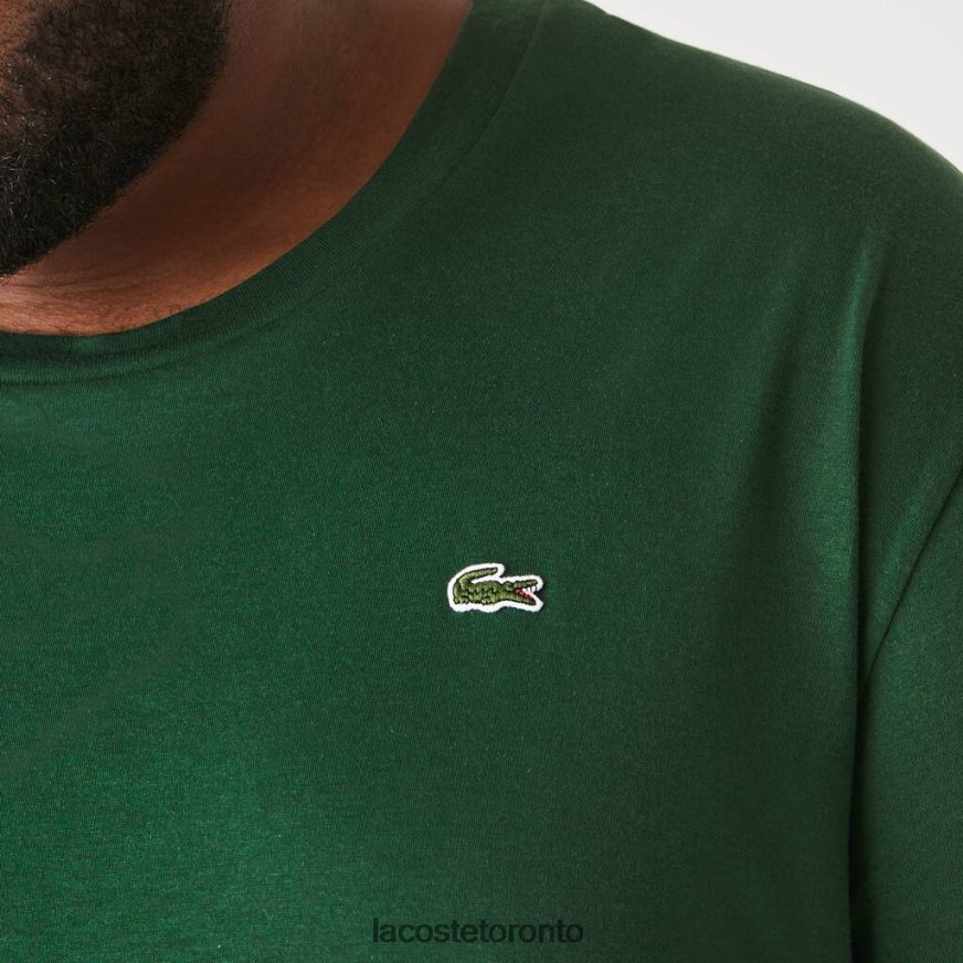 Clothing Lacoste Regular Fit Pima Cotton Jersey T-Shirt Green Men Z60BPR684