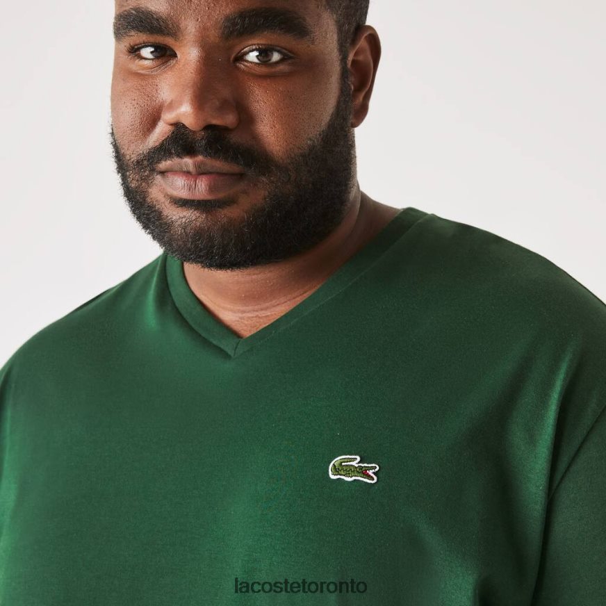 Clothing Lacoste Regular Fit Ribbed V-Neck Cotton Polo Shirt (Plus Size) Green Men Z60BPR823