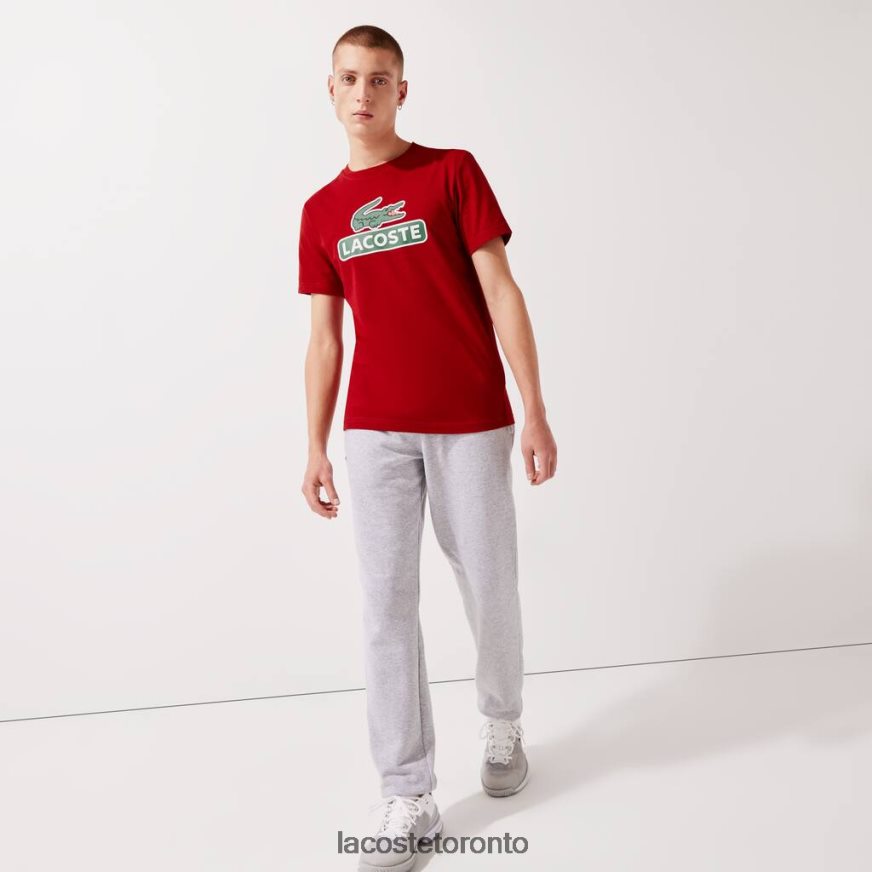 Clothing Lacoste SPORT Print Logo Breathable T-shirt Red Men Z60BPR930