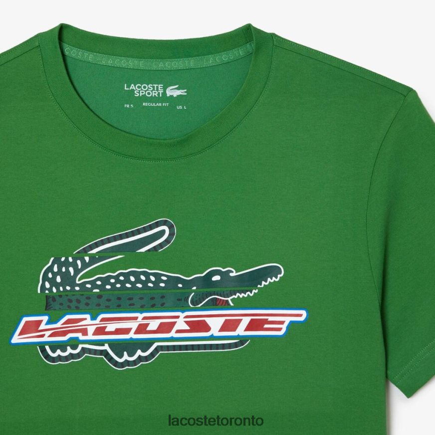 Clothing Lacoste SPORT Regular Fit Organic Cotton T-Shirt Green Men Z60BPR143