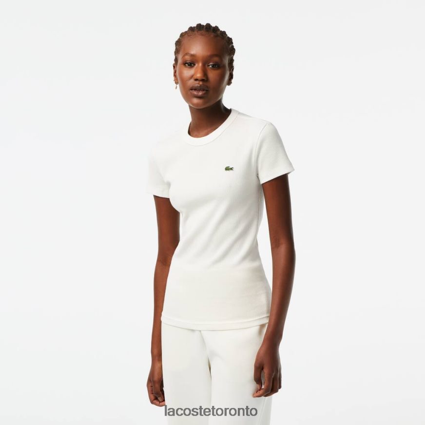 Clothing Lacoste Slim Fit Organic Cotton T-Shirt White Women Z60BPR2384