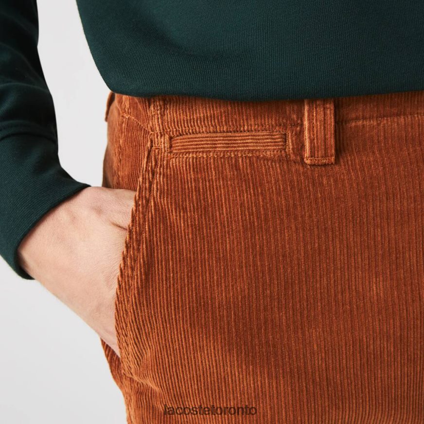 Clothing Lacoste Straight Fit Corduroy Chinos Brown Men Z60BPR1583