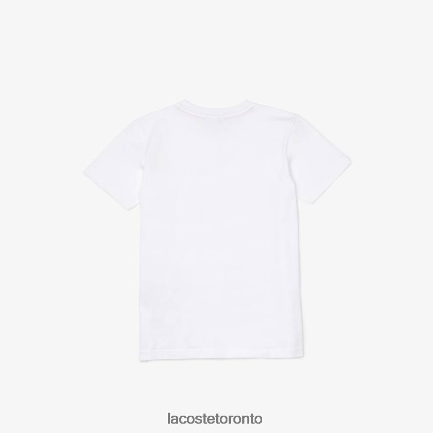 Clothing Lacoste V-Neck Cotton T-Shirt White Kids Z60BPR3129