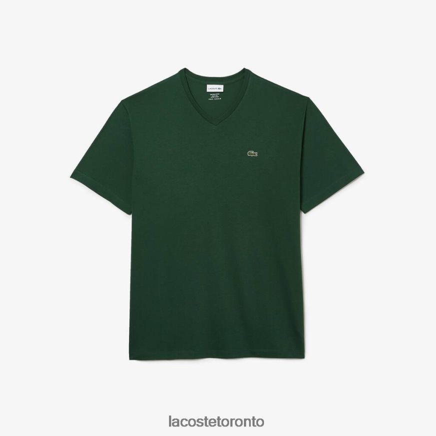 Clothing Lacoste V-Neck Jersey T-Shirt Green Men Z60BPR717