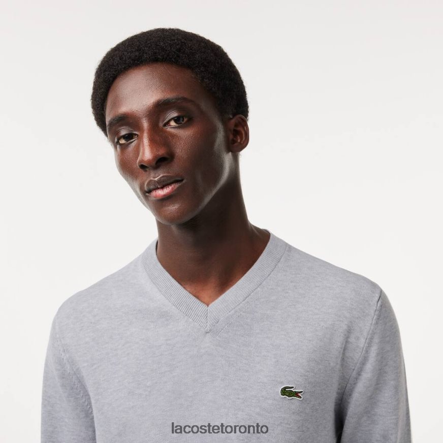 Clothing Lacoste V-Neck Organic Cotton Sweater Grey Chine Men Z60BPR1568