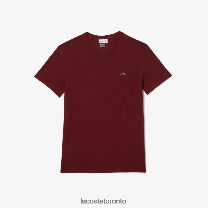 Clothing Lacoste V-Neck Pima Cotton Jersey T-Shirt Bordeaux Men Z60BPR612