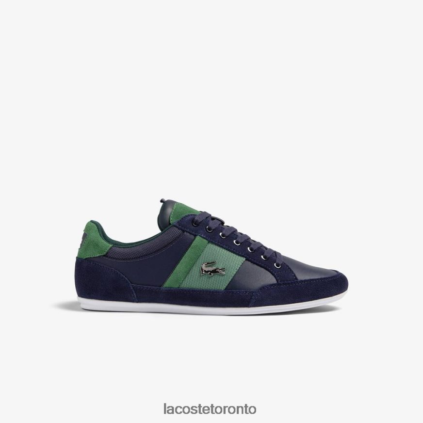 Navy & Green