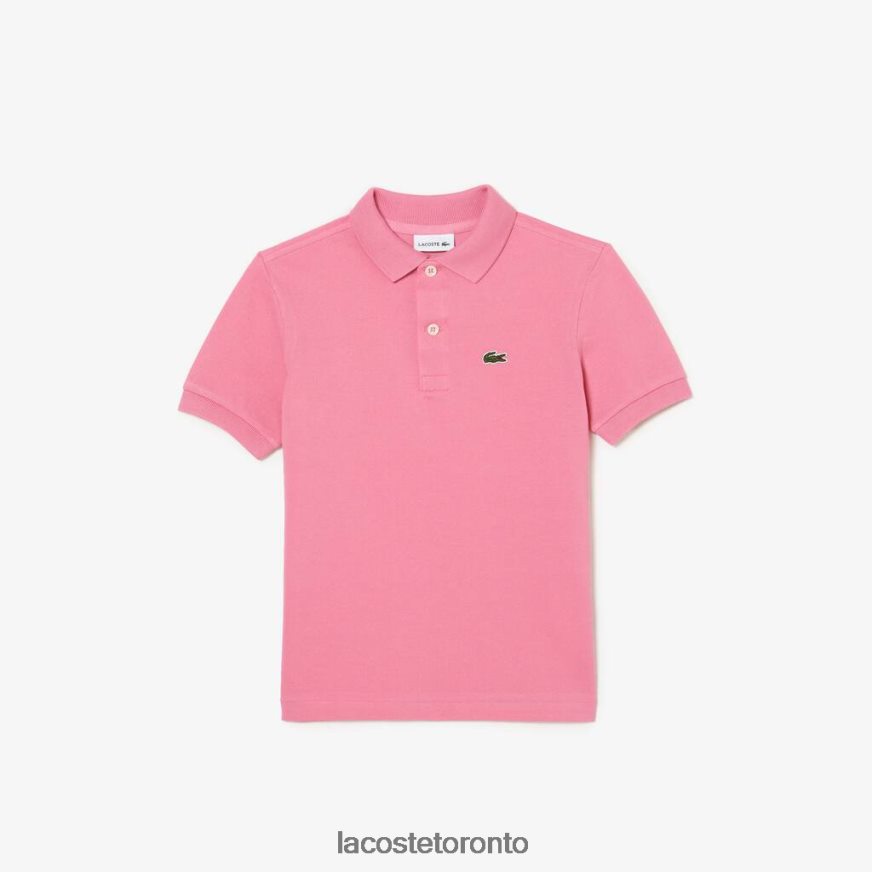 Clothing Lacoste Regular Fit Petit Pique Polo Pink Kids Z60BPR3024