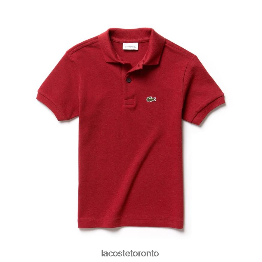 Clothing Lacoste Regular Fit Petit Pique Polo Red Kids Z60BPR3172