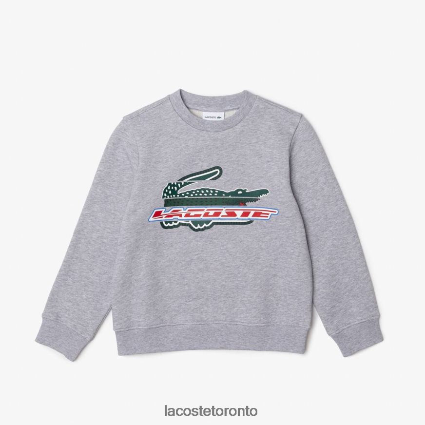 Clothing Lacoste Organic Cotton Fleece Sweatshirt Grey Chine Kids Z60BPR3050