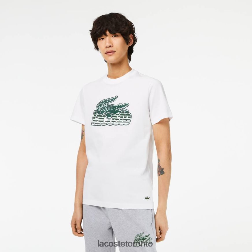 Clothing Lacoste Cotton Jersey Print T-Shirt White Men Z60BPR63