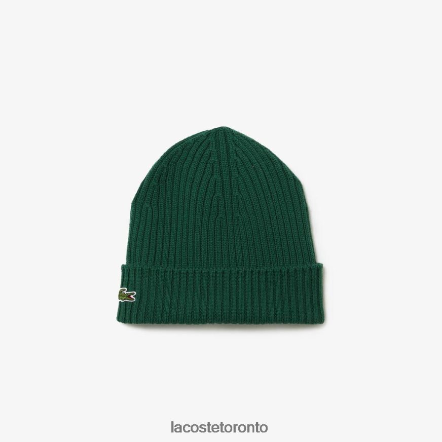 Accessories Lacoste Ribbed Wool Beanie Green Unisex Z60BPR2229